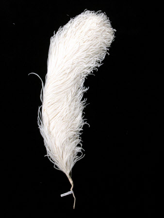 Dudmaston © National Trust / Claire Reeves