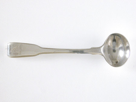 Salt spoon