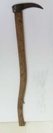 Pruner