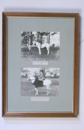 Grey Hunter held by Harry Bowen, Head Groom, Dudmaston: c.1890 and Olive Mary Wolryche-Whitmore, ...