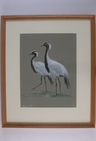 Pair of Cranes
