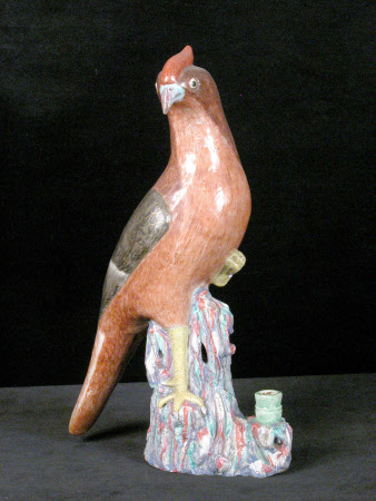 Pheasant