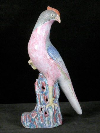 Pheasant