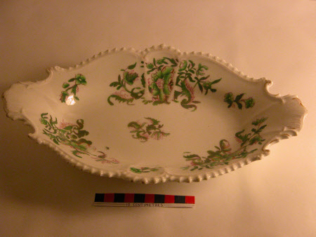 Dish