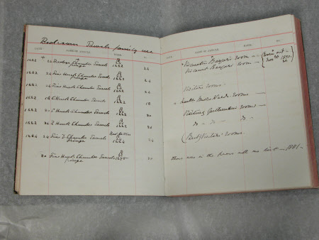 Castle Ward © National Trust / Alessandro Nasini