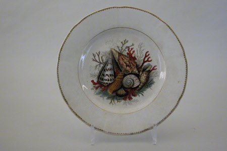Plate