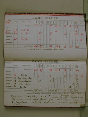 Castle Ward © National Trust / Alessandro Nasini