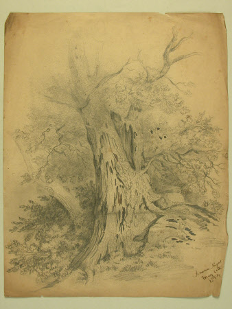 Pencil drawing
