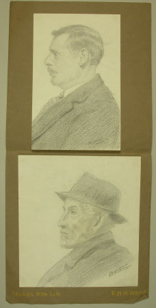 Pencil drawing