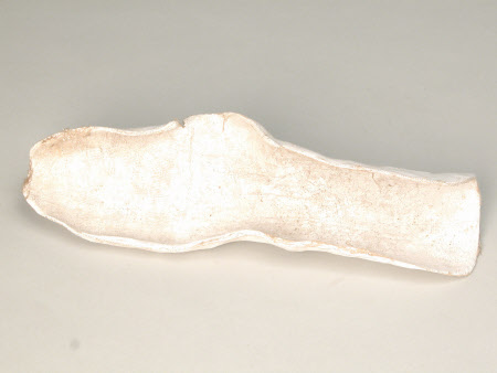 Splint