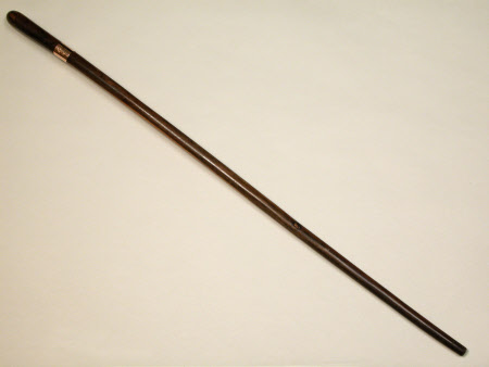 Walking stick
