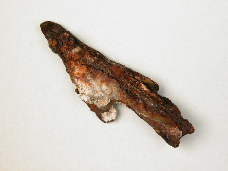 Castle Ward © National Trust / Alessandro Nasini