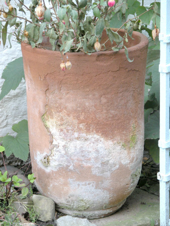 The Greyfriars © National Trust / Catriona Hughes