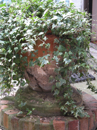 The Greyfriars © National Trust / Catriona Hughes