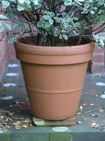 The Greyfriars © National Trust / Catriona Hughes