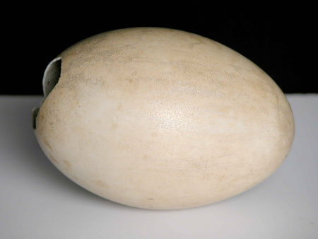 Egg
