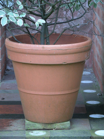 The Greyfriars © National Trust / Catriona Hughes