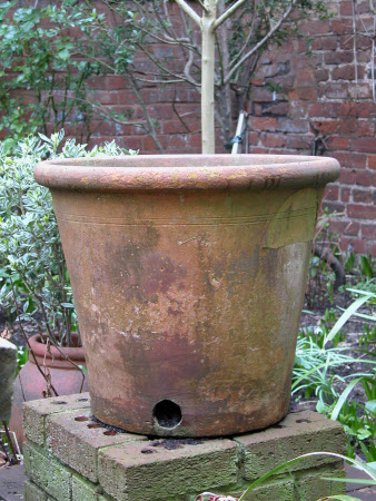 The Greyfriars © National Trust / Catriona Hughes