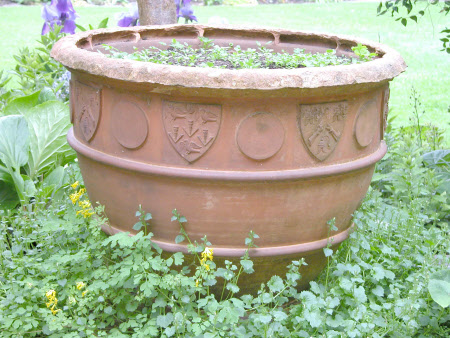 The Greyfriars © National Trust / Catriona Hughes