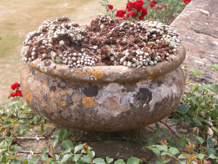 Upton House © National Trust / Claire Reeves