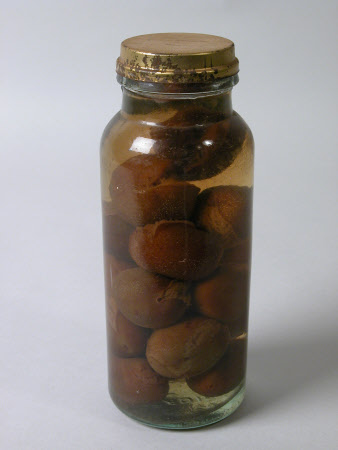 Jar of plums