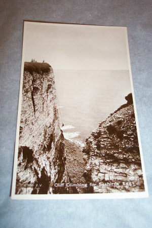 Cliff climbing for Seabirds' Eggs