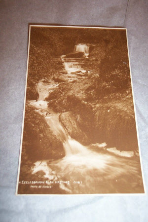In Ecclesbourne Glen, Hastings (116)