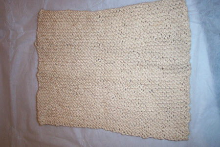 Dishcloth