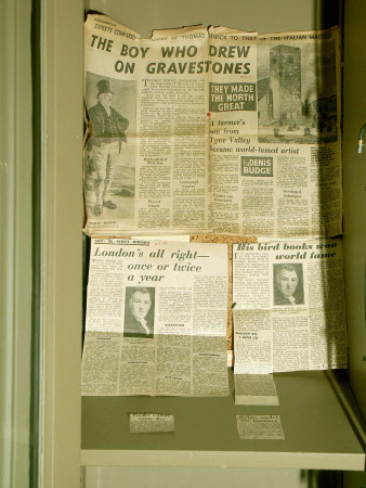 Newspaper article