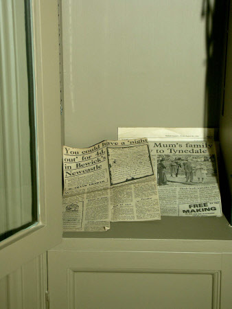 Newspaper article