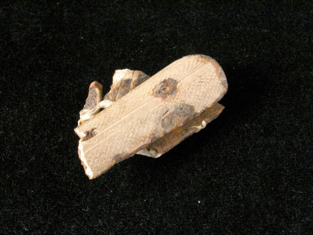 Handle fragment