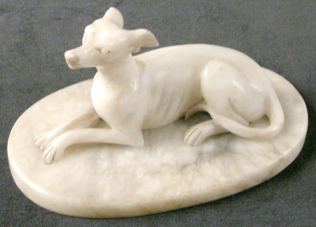 Recumbent Greyhound