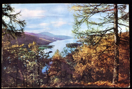 Postcard