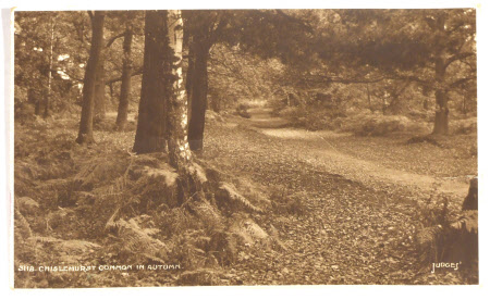 Postcard
