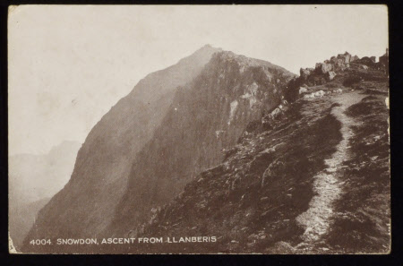 Postcard