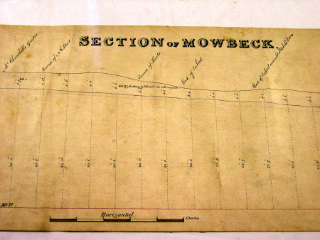 Estate plan