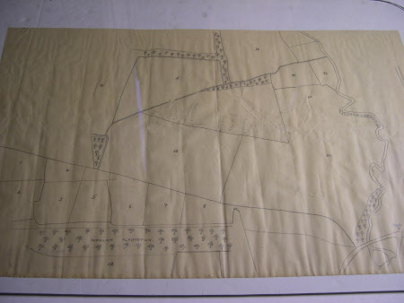Map/plan of a field layout adjacent to Peascliff Plantation part of the Belton Estate, Lincolnshire.