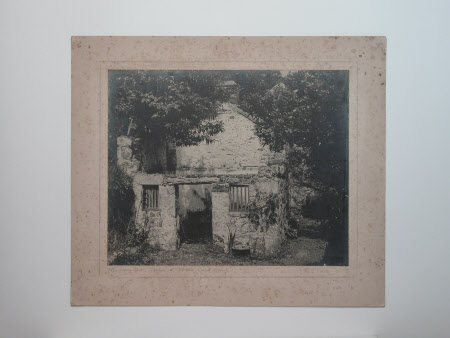 Photograph