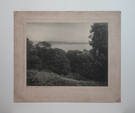 Photograph