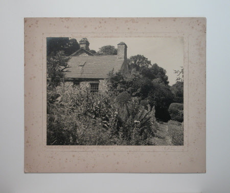 Photograph