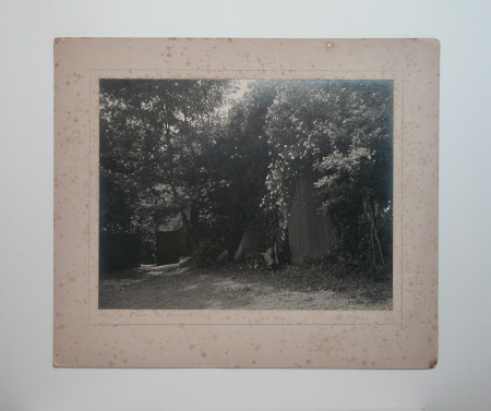 Photograph
