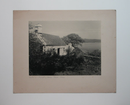 Photograph