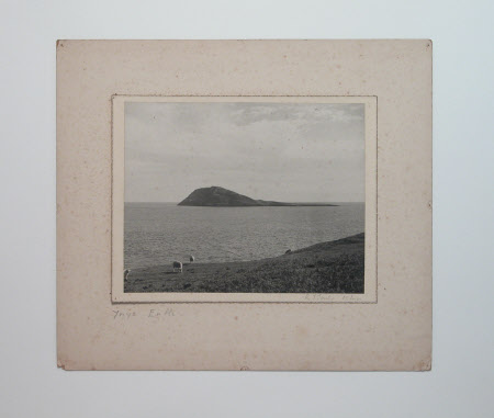 Photograph