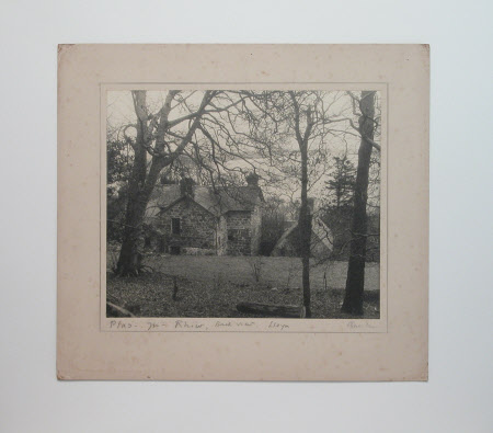 Photograph