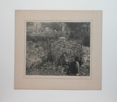 Photograph