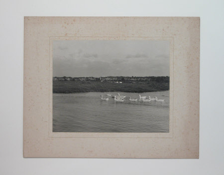 Photograph