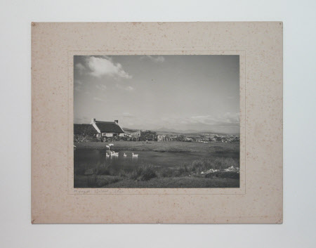 Photograph
