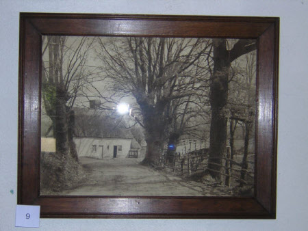 Photograph