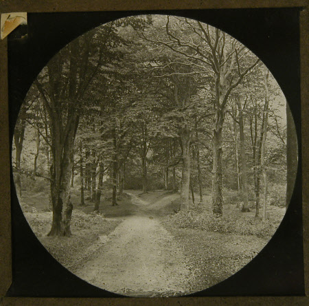 Lantern slide