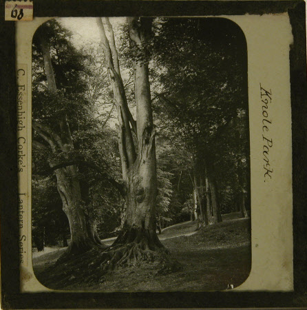 Lantern slide